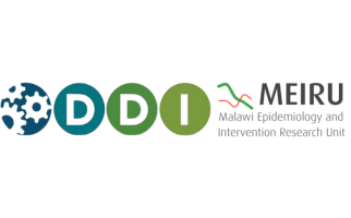 DDI Codebook Metadata Microlearning